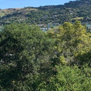 Meet your Posher, Nataly